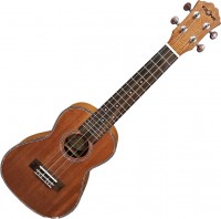 Купить гитара Fzone FZU-06M  по цене от 2433 грн.
