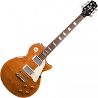 Купить гитара Jay Turser JT-220D  по цене от 12054 грн.