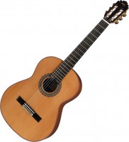 Купить гитара Manuel Rodriguez E Cedro  по цене от 40664 грн.