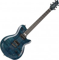 Купить електрогітара / бас-гітара Godin LG Signature: цена от 50464 грн.