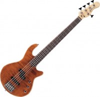 Купити електрогітара / бас-гітара Godin Freeway 5  за ціною від 33619 грн.