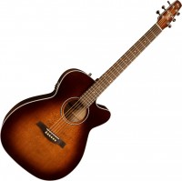 Купить гитара Seagull Performer CW Concert Hall QIT  по цене от 86646 грн.