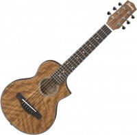 Купить гитара Ibanez EWP14WB  по цене от 11928 грн.