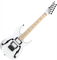 Купить електрогітара / бас-гітара Ibanez PGMM31: цена от 11572 грн.
