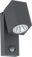Купить прожектор / светильник EGLO Sakeda 96287: цена от 3935 грн.