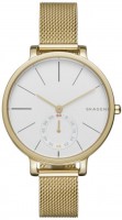 Купити наручний годинник Skagen SKW2436  за ціною від 6690 грн.
