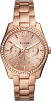 Купить наручний годинник FOSSIL ES4315: цена от 9752 грн.