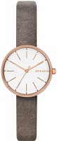 Купити наручний годинник Skagen SKW2644  за ціною від 5090 грн.