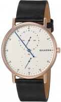 Купити наручний годинник Skagen SKW6390  за ціною від 5590 грн.
