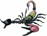 Купить 3D пазл 4D Master Scorpion Anatomy Model 26113  по цене от 697 грн.