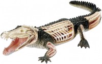 Купити 3D-пазл 4D Master Crocodile Anatomy Model 26114  за ціною від 804 грн.