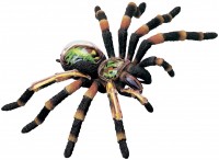 Купить 3D пазл 4D Master Tarantula Spider Anatomy Model 26112: цена от 1389 грн.