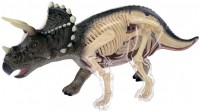 Купить 3D пазл 4D Master Tricerators Anatomy Model 26093  по цене от 845 грн.