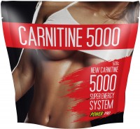 Купить спалювач жиру Power Pro Carnitine 5000 500 g: цена от 599 грн.
