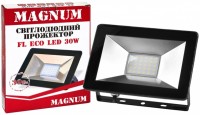 Купить прожектор / светильник Magnum FL ECO LED 30: цена от 191 грн.