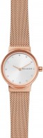 Купити наручний годинник Skagen SKW2665  за ціною від 6570 грн.