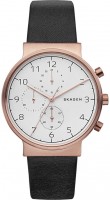 Купити наручний годинник Skagen SKW6371  за ціною від 6990 грн.