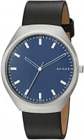 Купить наручные часы Skagen SKW6385  по цене от 5390 грн.