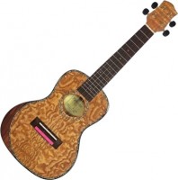 Купить гітара Parksons UK24FM: цена от 6357 грн.