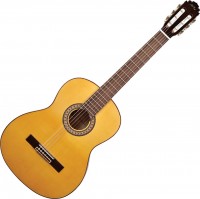 Купить гитара Manuel Rodriguez C3FLAM: цена от 32224 грн.