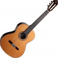 Купить гитара Alhambra 10 Premier  по цене от 108800 грн.