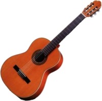 Купить гитара Antonio Sanchez 1008  по цене от 25734 грн.