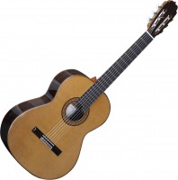 Купить гитара Alhambra Luthier Aniversario  по цене от 163200 грн.