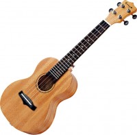 Купити гітара Enya EUS-25D  за ціною від 3160 грн.