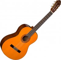 Купить гитара Washburn C5: цена от 5849 грн.