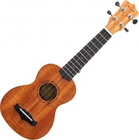 Купить гітара Enya EUS-20: цена от 2780 грн.