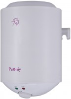 Купить водонагреватель Peoniy Palermo по цене от 4347 грн.