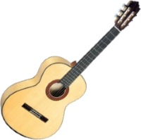 Купить гитара Paco Castillo Model 211F  по цене от 13000 грн.