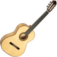 Купить гитара Paco Castillo Model 214F  по цене от 21905 грн.
