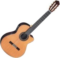 Купить гитара Paco Castillo Model 224CE  по цене от 27820 грн.