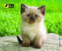 Купить килимок для мишки Pod myshku Siamese Kitty: цена от 45 грн.