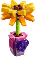 Купить конструктор Lego Friendship Flower 30404: цена от 297 грн.