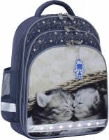 Купить школьный рюкзак (ранец) Bagland Mouse 321: цена от 900 грн.