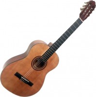 Купить гитара Trembita Leoton L-10  по цене от 2773 грн.