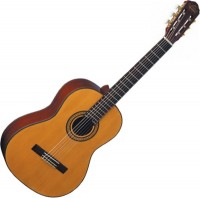 Купить гитара Washburn OC11  по цене от 4214 грн.