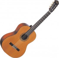 Купить гитара Washburn OC9  по цене от 2946 грн.