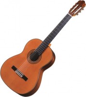 Купить гитара Antonio Sanchez 2500  по цене от 97247 грн.