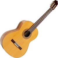 Купить гитара Antonio Sanchez 3000  по цене от 16200 грн.