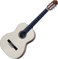Купить гитара Hora SM33  по цене от 13280 грн.