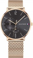 Купить наручные часы Tommy Hilfiger 1791506  по цене от 6217 грн.