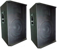 Купить акустическая система BIG TIREX500A  по цене от 11700 грн.