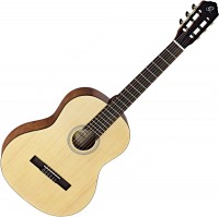 Купить гитара Ortega RST5  по цене от 7800 грн.