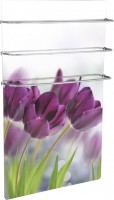 Купити рушникосушарка Teplaja Kompanija HGlass Basic (HGlass GHT 6012 Basic 600x1200) за ціною від 9999 грн.