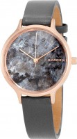 Купити наручний годинник Skagen SKW2672  за ціною від 8009 грн.