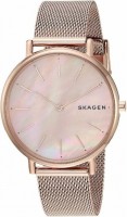 Купити наручний годинник Skagen SKW2732  за ціною від 4945 грн.