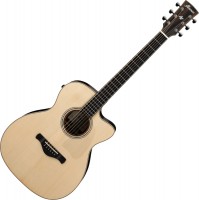 Купити гітара Ibanez ACFS580CE за ціною від 78239 грн.
